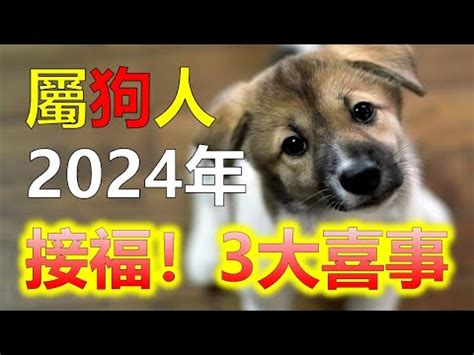 屬狗生肖|屬狗今年幾歲？2024屬狗生肖年齡對照表！屬狗性格特質